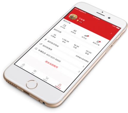 eCommerce Design & Development